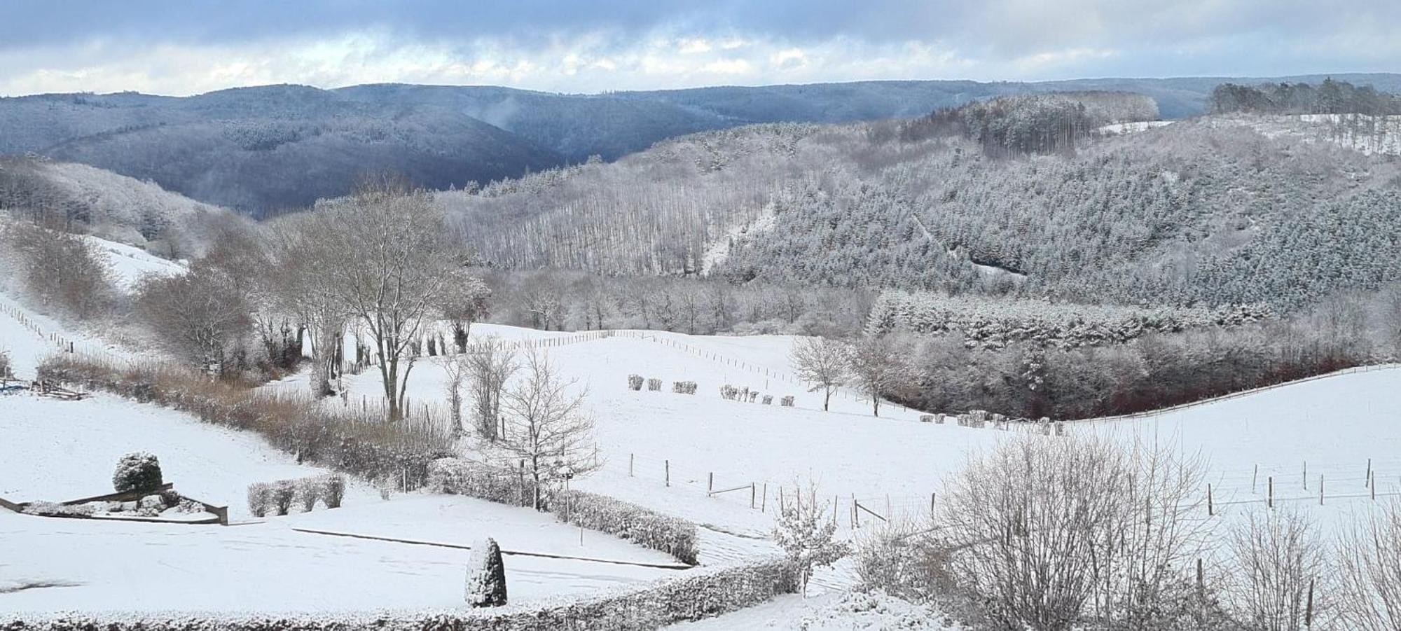 Fewo-Eifel-Morsbach Schleiden Exteriér fotografie