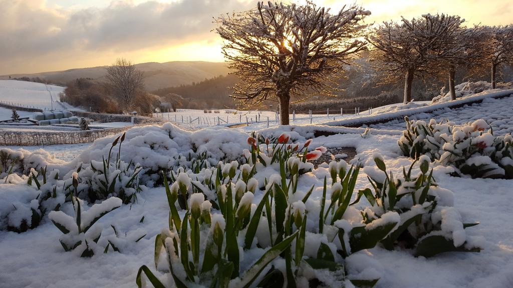 Fewo-Eifel-Morsbach Schleiden Exteriér fotografie